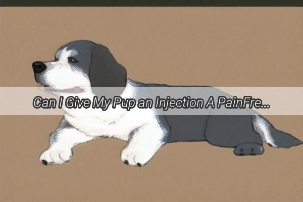 Can I Give My Pup an Injection A PainFree Guide to Administering Medication to Your Furry Friend